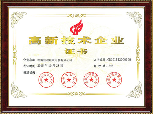 国家高新手艺企业证书